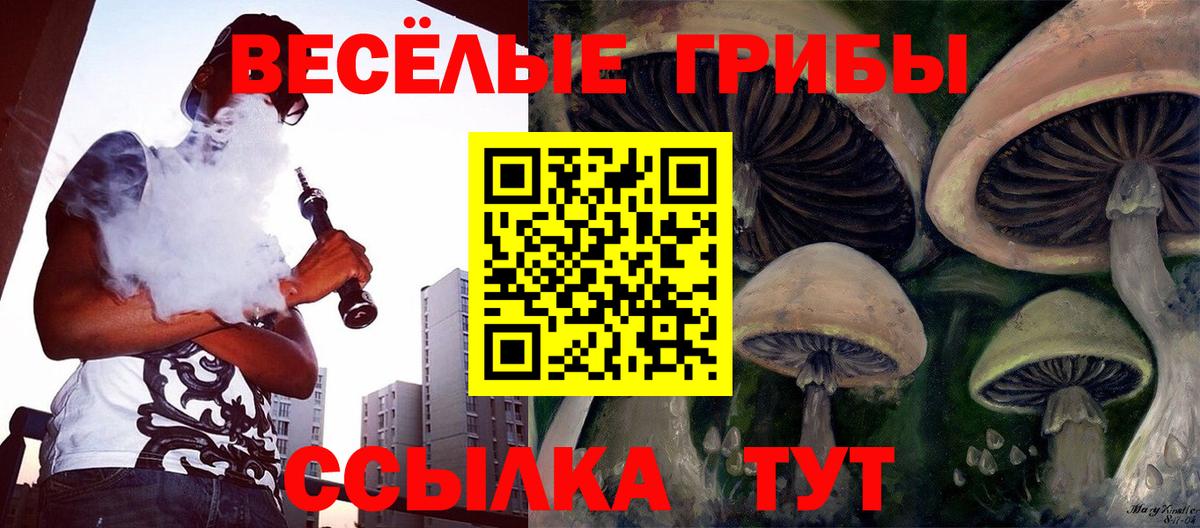 Альметьевск  где найти наркотики  Галлюциногенные грибы MAGIC MUSHROOMS  Вход с VPN  Псилоцибиновые грибы ЛСД 